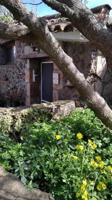Rural House To Take A Break, La Serreria 25 - Private Garden Tacoronte Kültér fotó