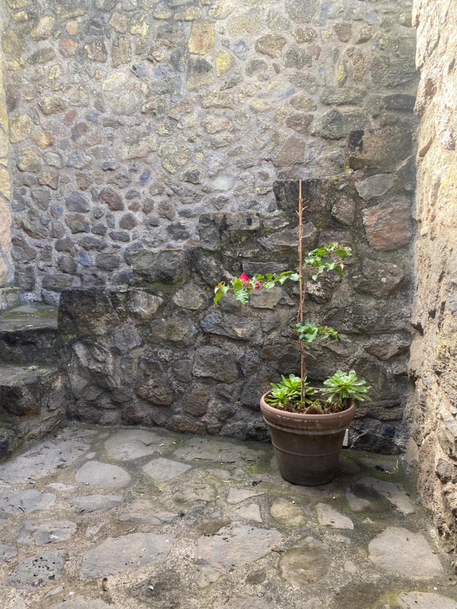 Rural House To Take A Break, La Serreria 25 - Private Garden Tacoronte Kültér fotó